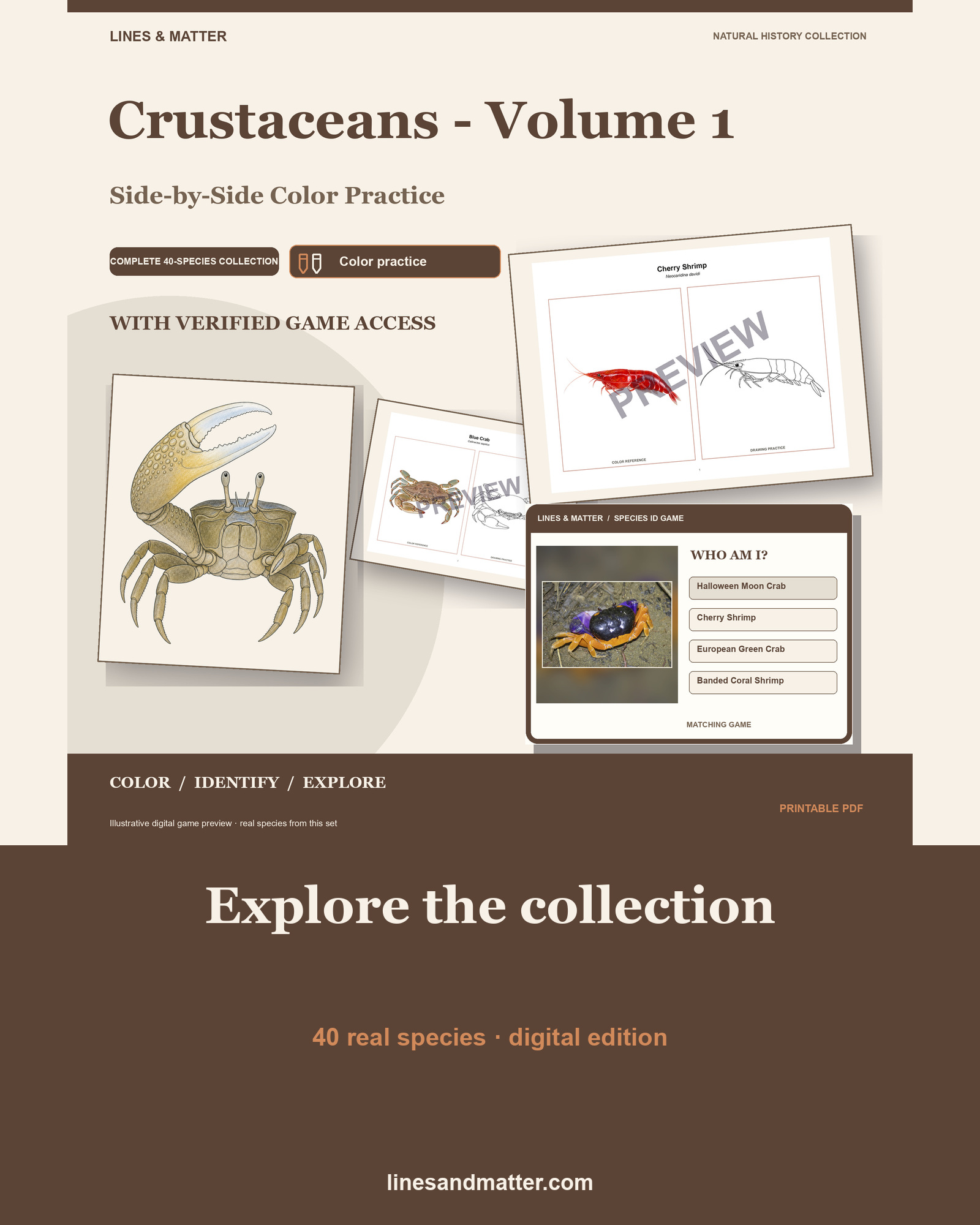 Crustaceans - Volume 1 Coloring Practice Sheets: 40 Real Species | Printable PDF preview 1