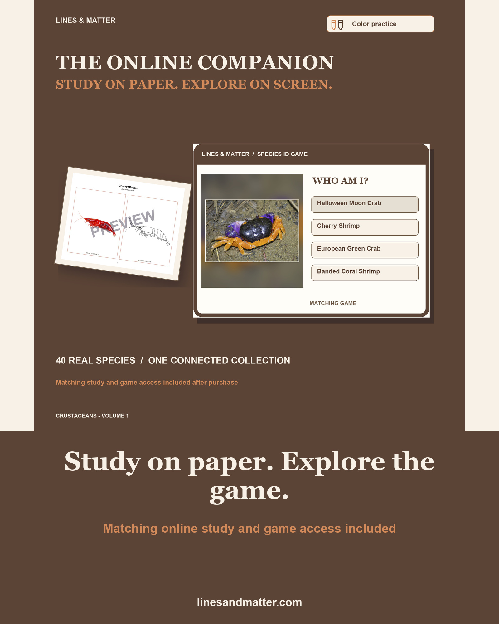 Crustaceans - Volume 1 Coloring Practice Sheets: 40 Real Species | Printable PDF preview 2