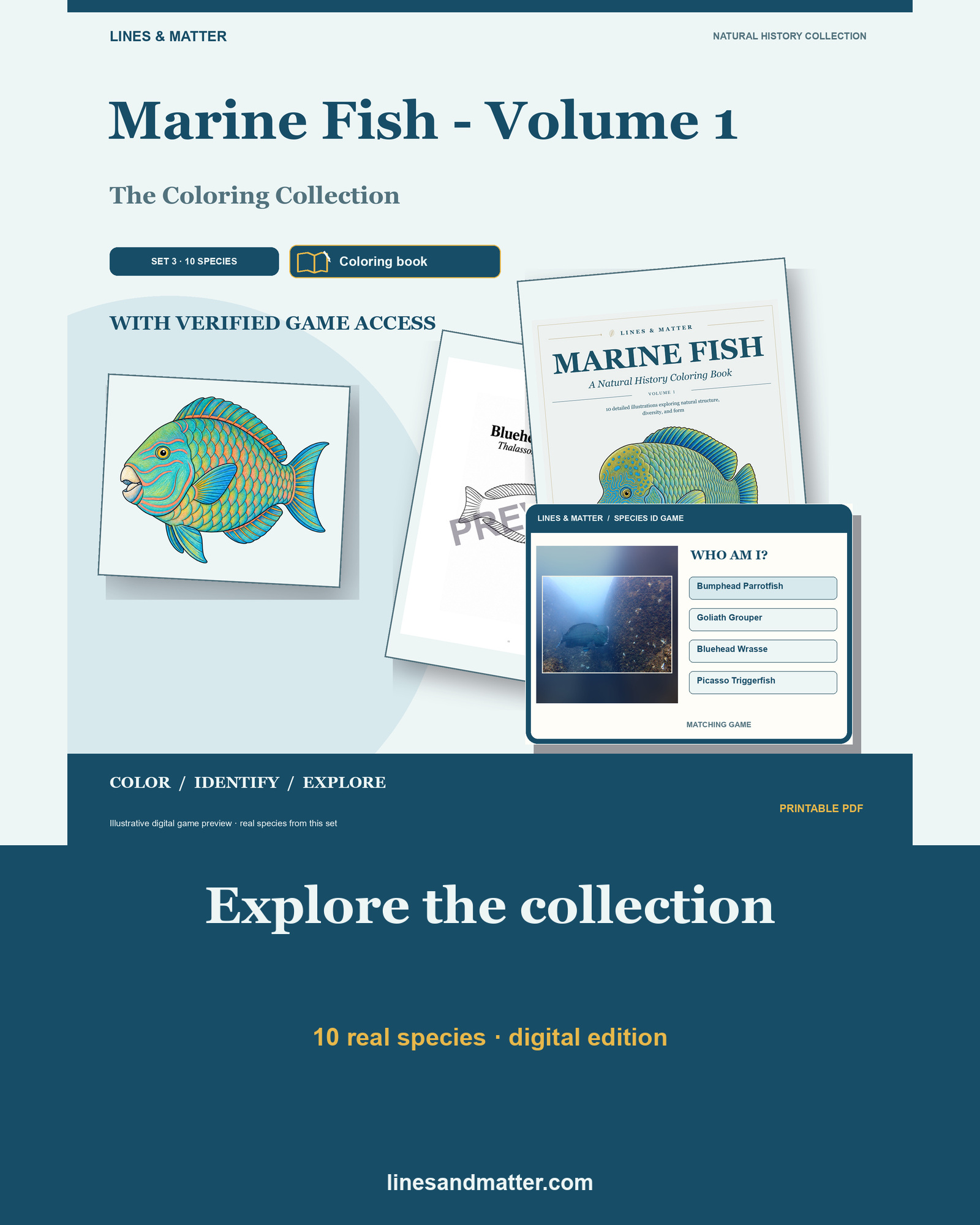 Marine Fish - Volume 1 Coloring Book Set 3: 10 Real Species | Printable PDF preview 1