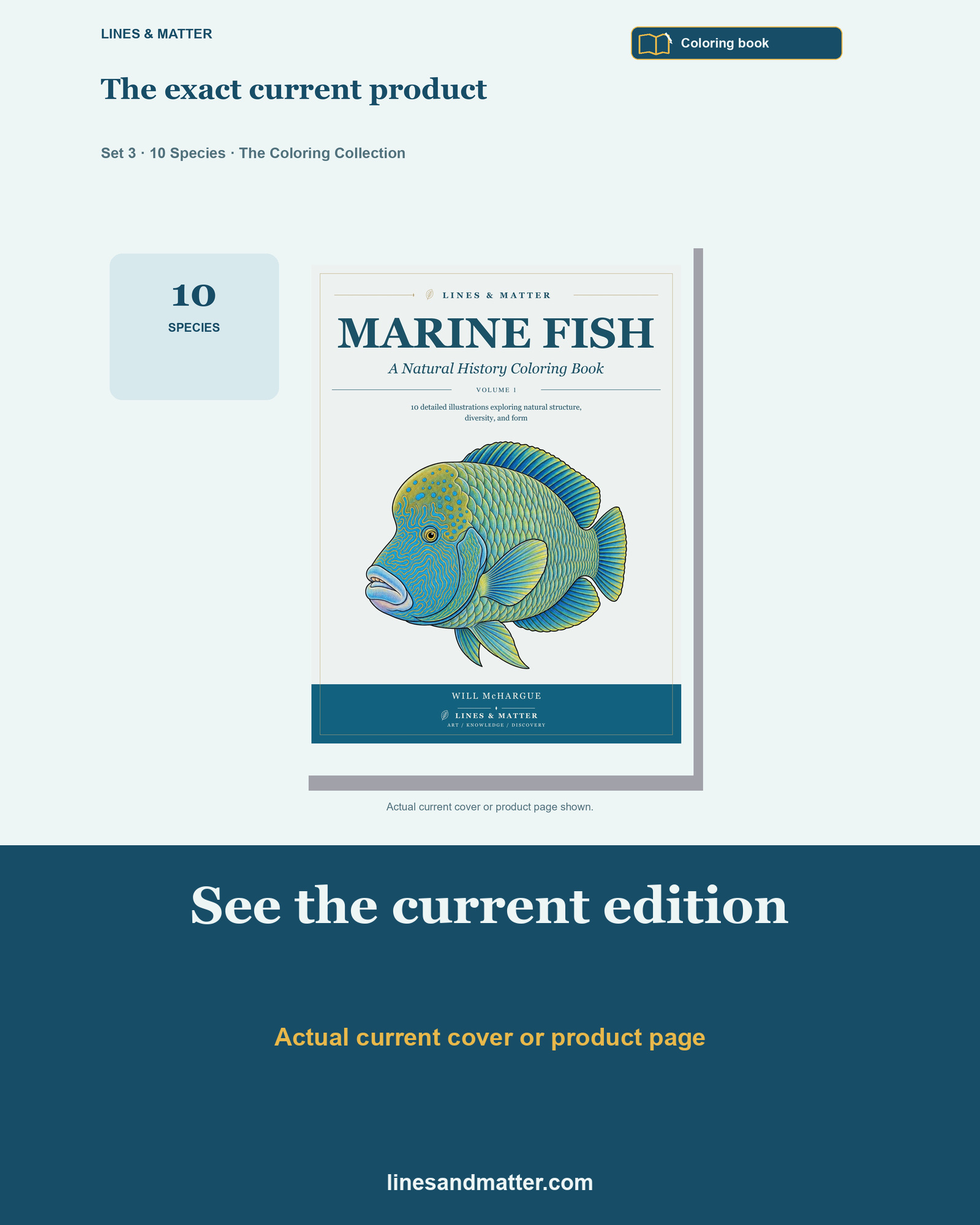 Marine Fish - Volume 1 Coloring Book Set 3: 10 Real Species | Printable PDF preview 3