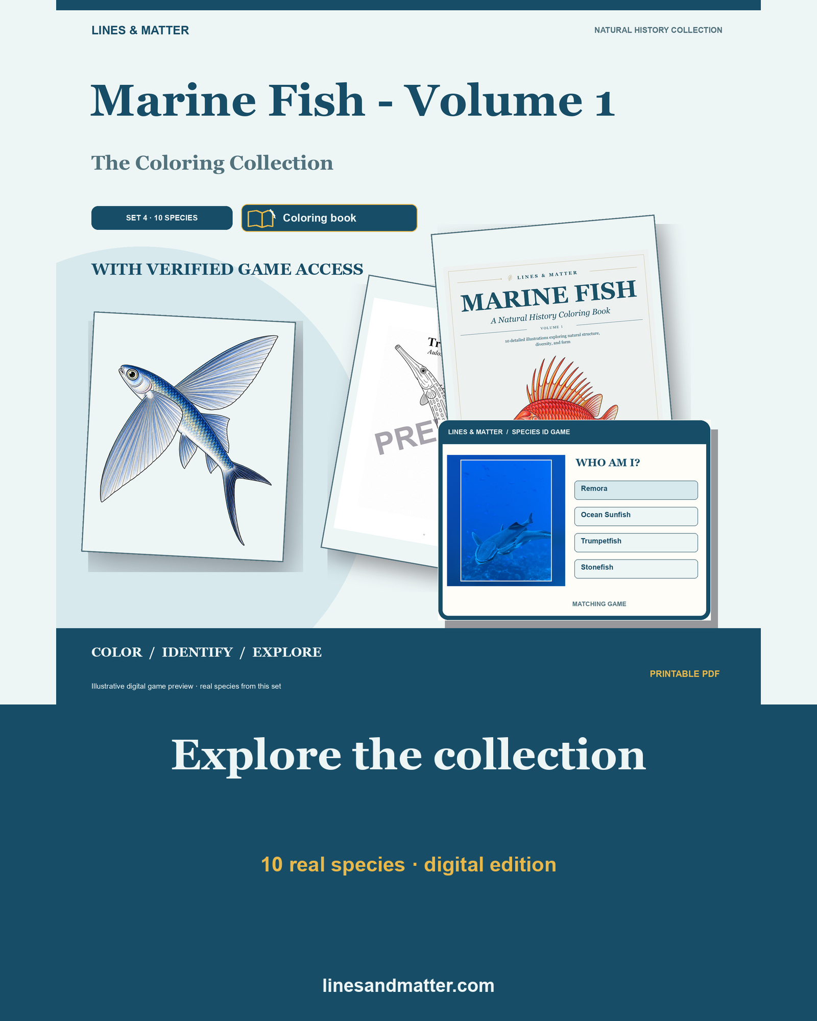 Marine Fish - Volume 1 Coloring Book Set 4: 10 Real Species | Printable PDF preview 1