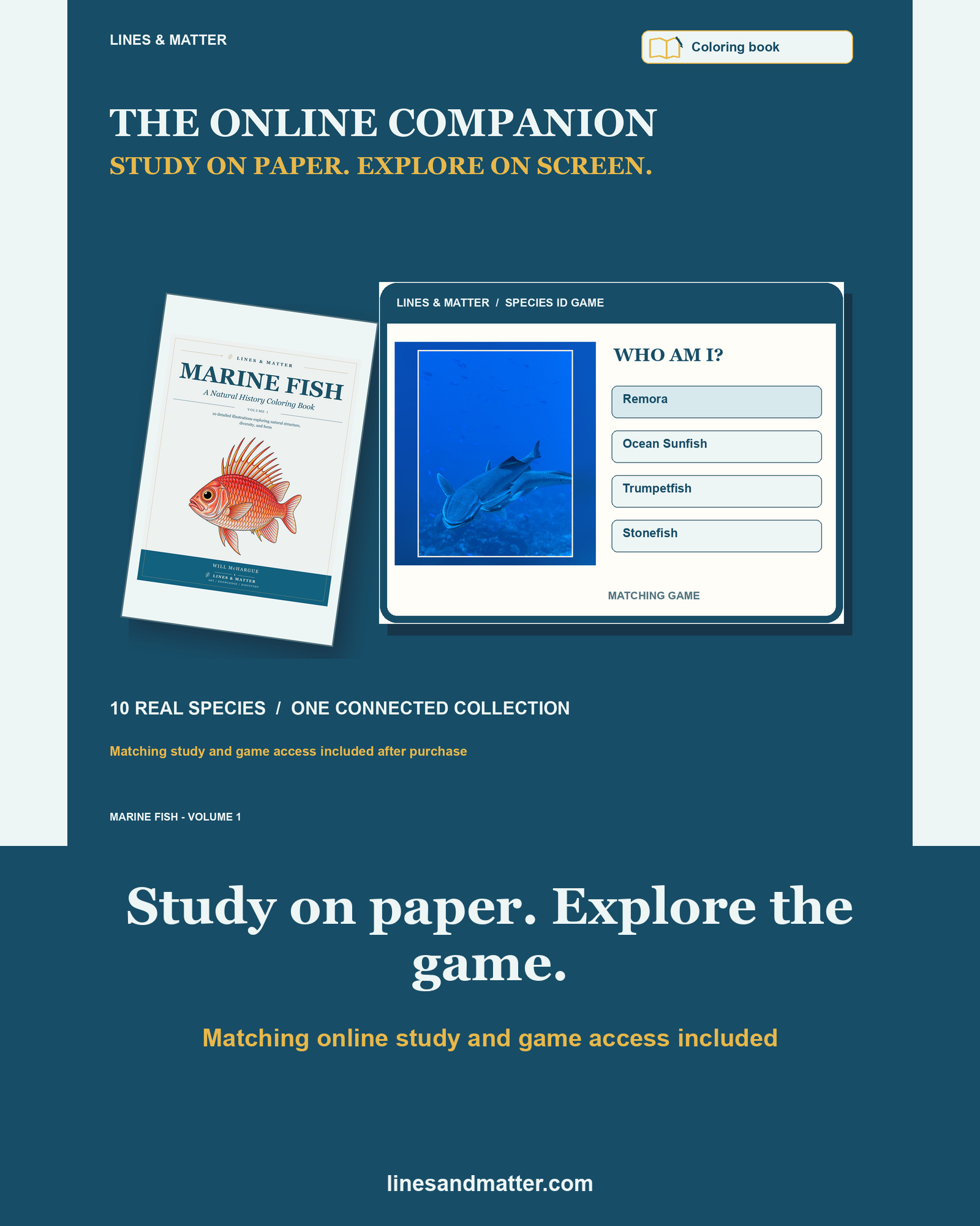 Marine Fish - Volume 1 Coloring Book Set 4: 10 Real Species | Printable PDF preview 2