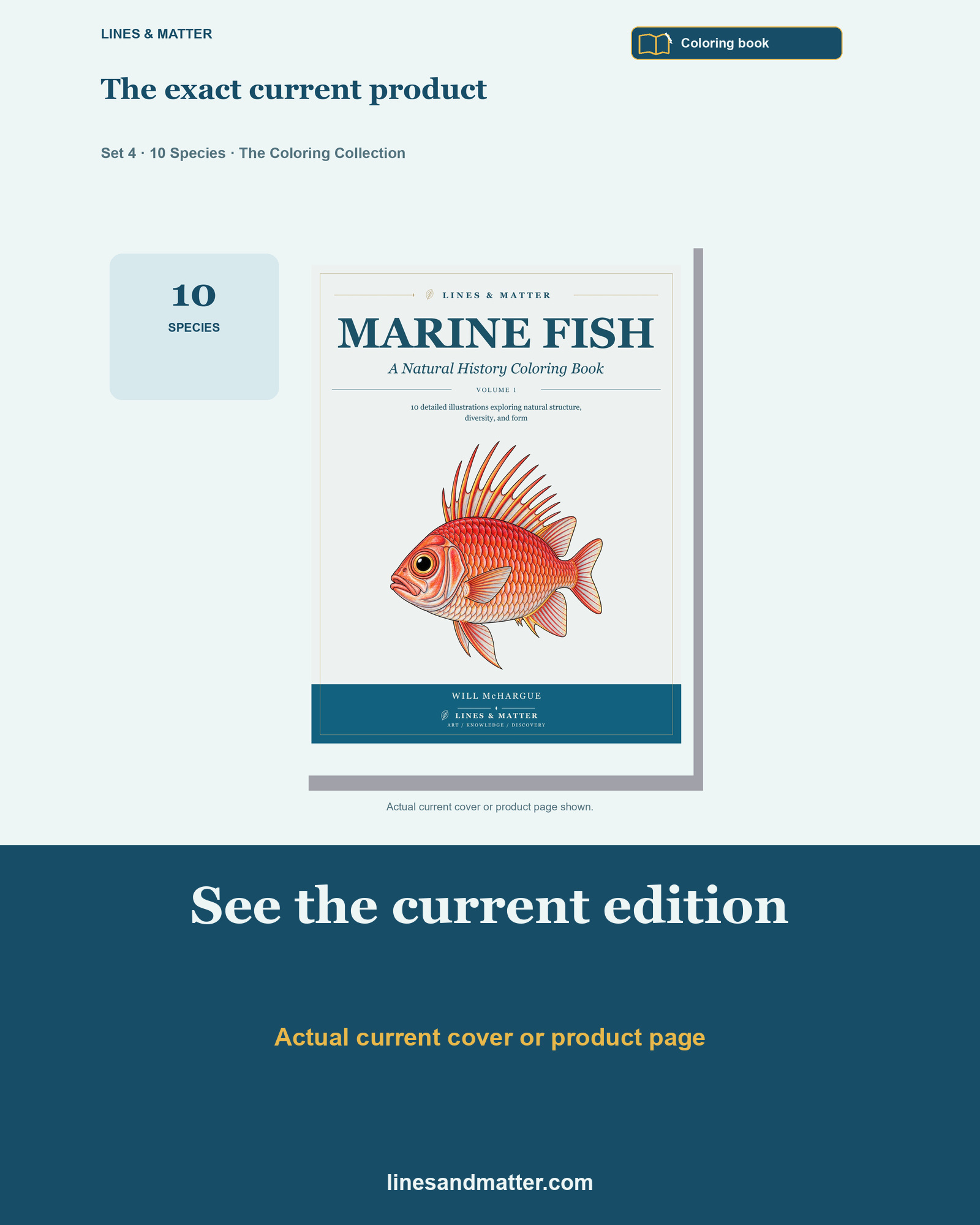 Marine Fish - Volume 1 Coloring Book Set 4: 10 Real Species | Printable PDF preview 3