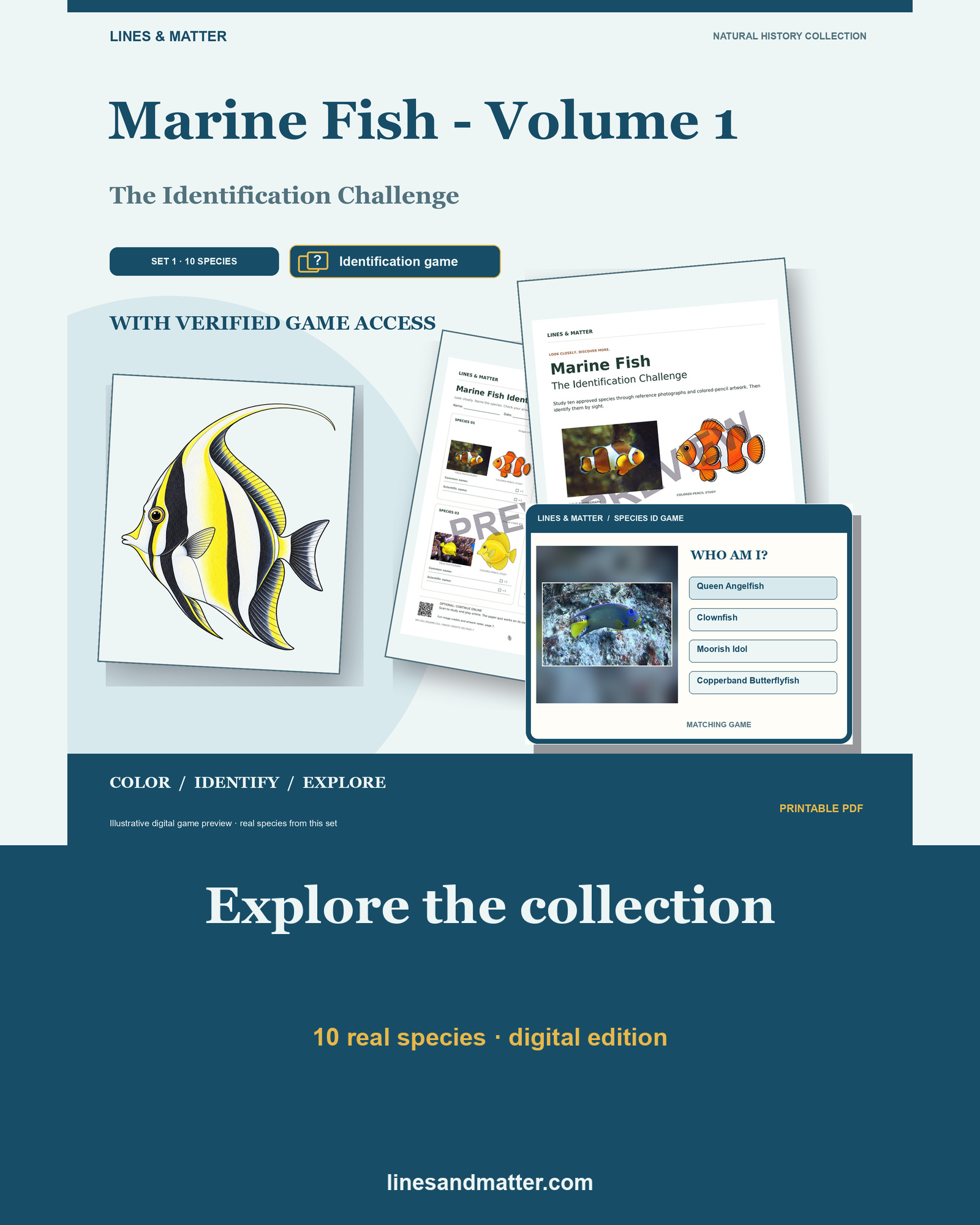 Marine Fish - Volume 1 Identification Quiz Set 1: 10 Real Species | Printable PDF preview 1