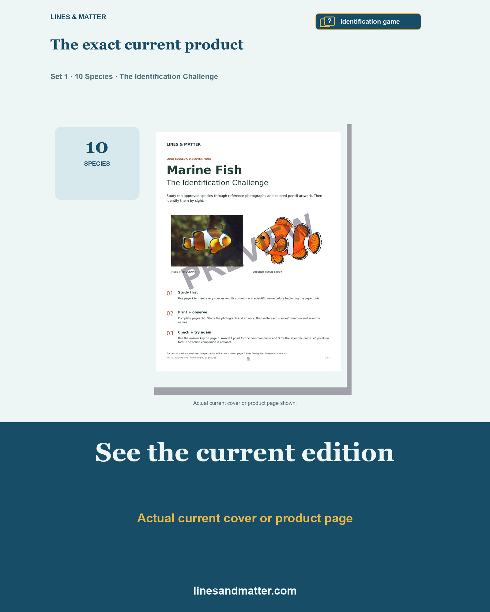 Marine Fish - Volume 1 Identification Quiz Set 1: 10 Real Species | Printable PDF preview 3