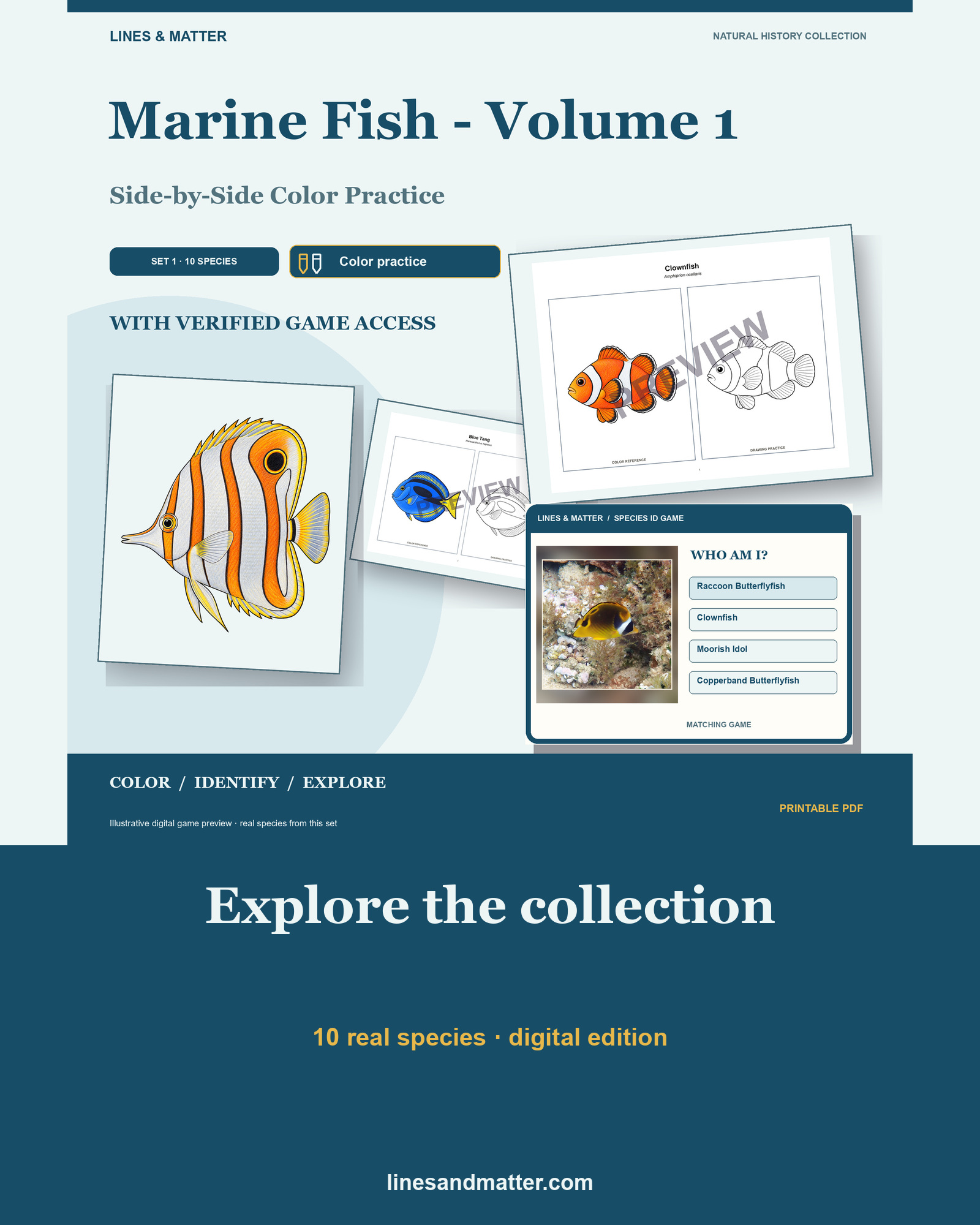 Marine Fish - Volume 1 Coloring Practice Sheets Set 1: 10 Real Species | Printable PDF preview 1