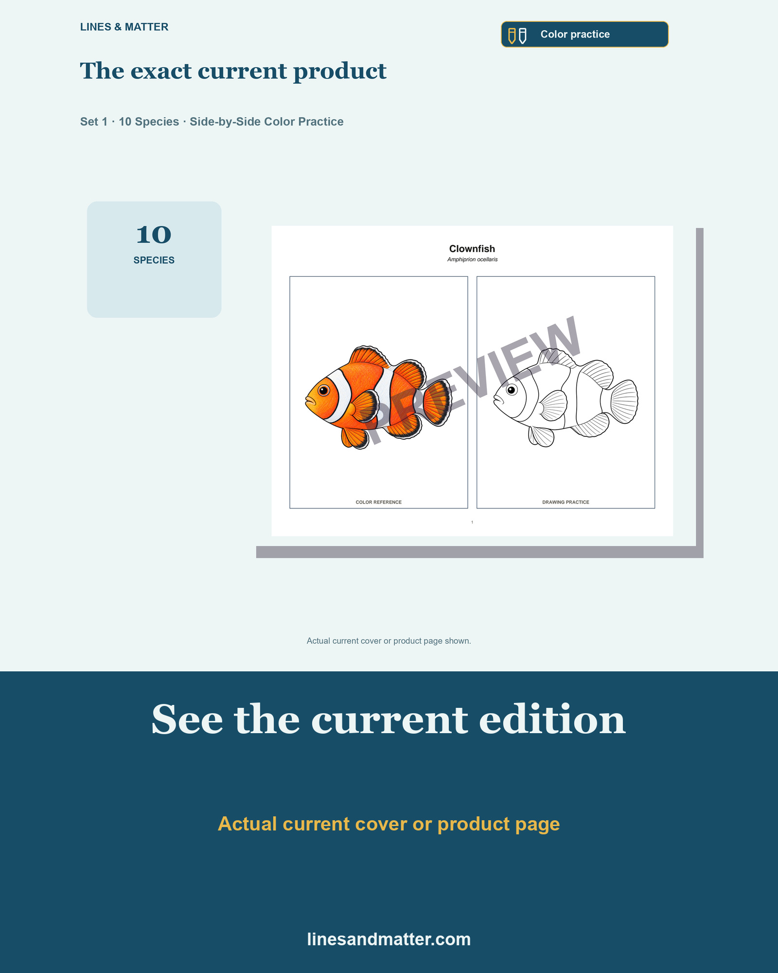 Marine Fish - Volume 1 Coloring Practice Sheets Set 1: 10 Real Species | Printable PDF preview 3