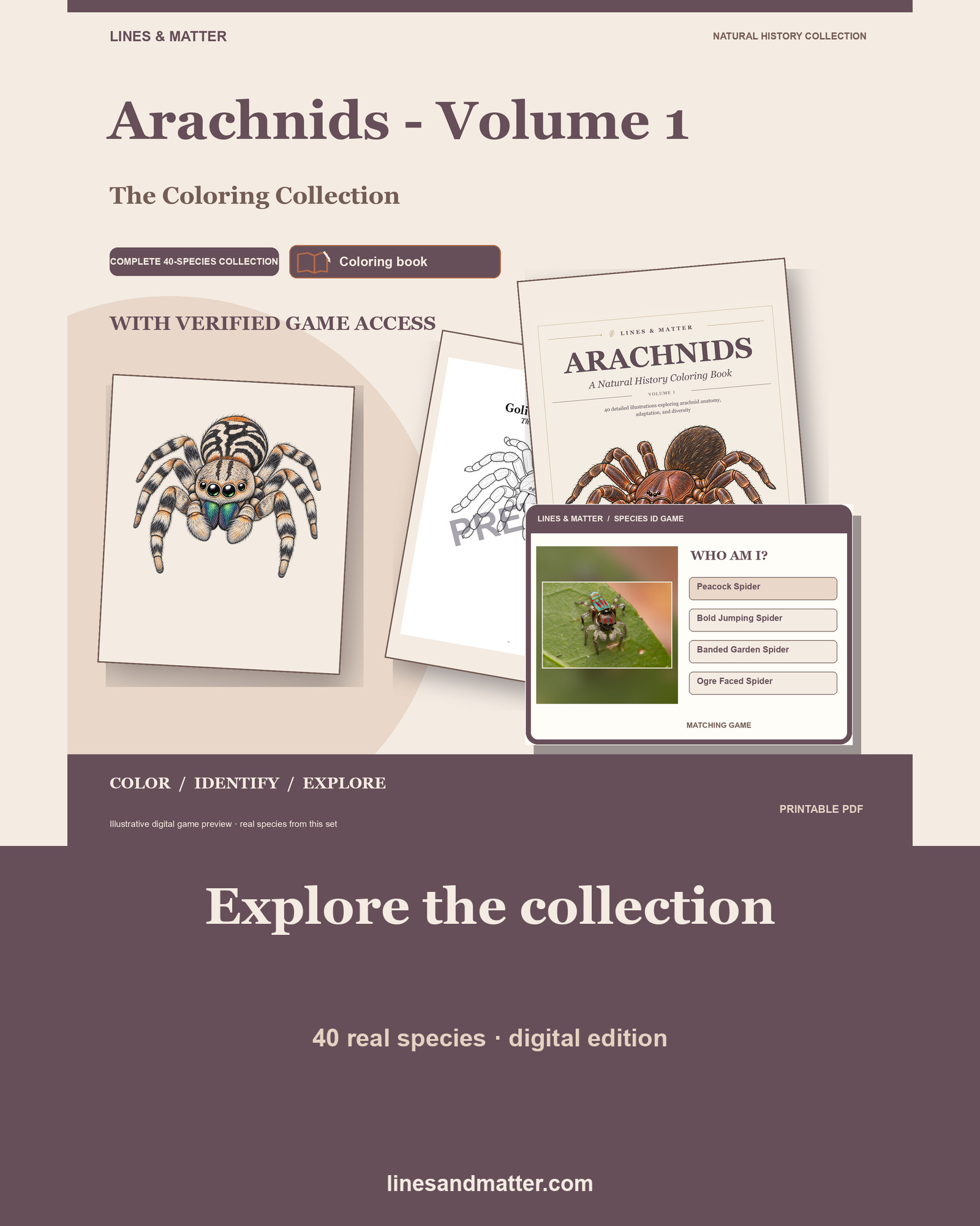 Arachnids full coloring book cover