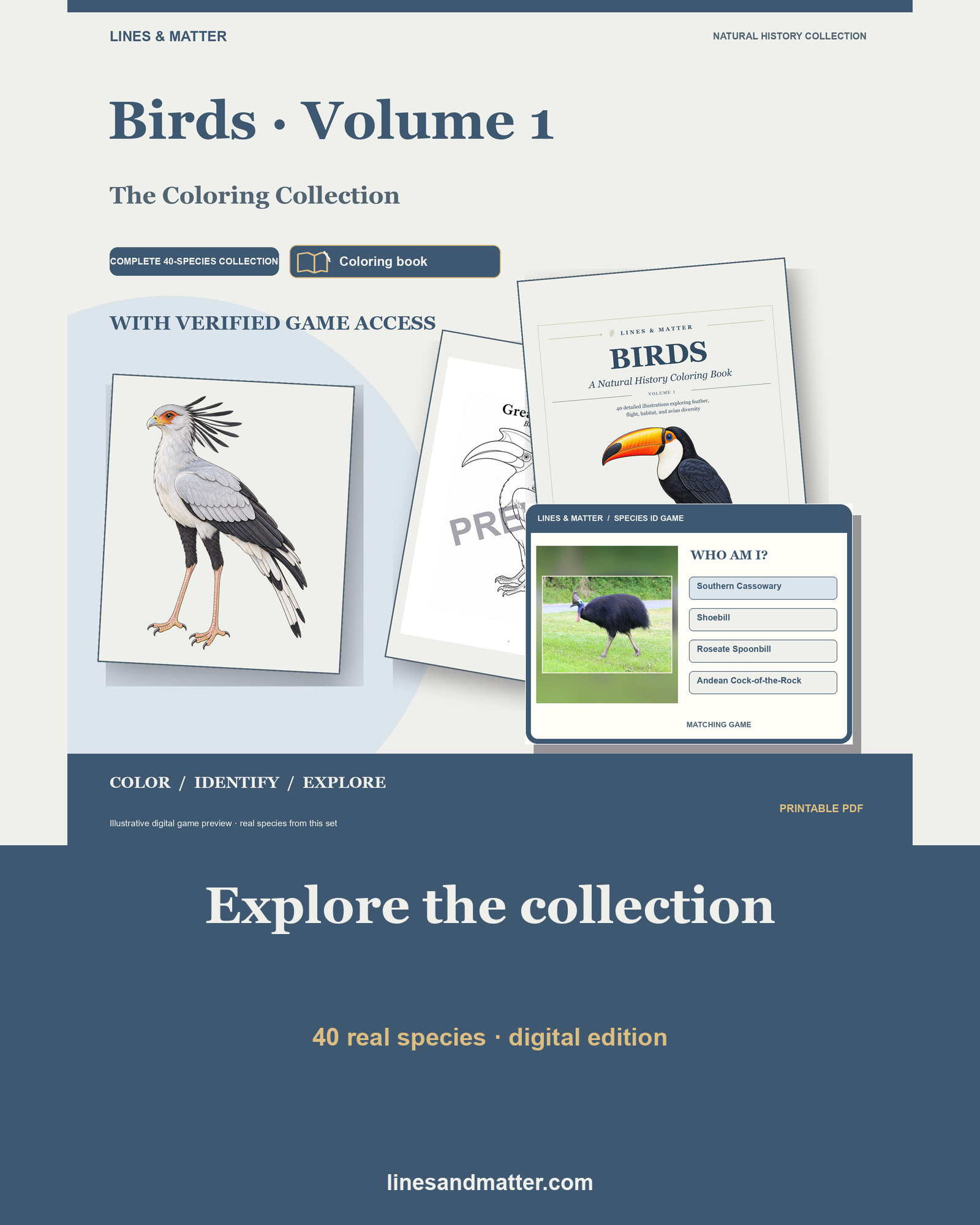 Birds full coloring book cover