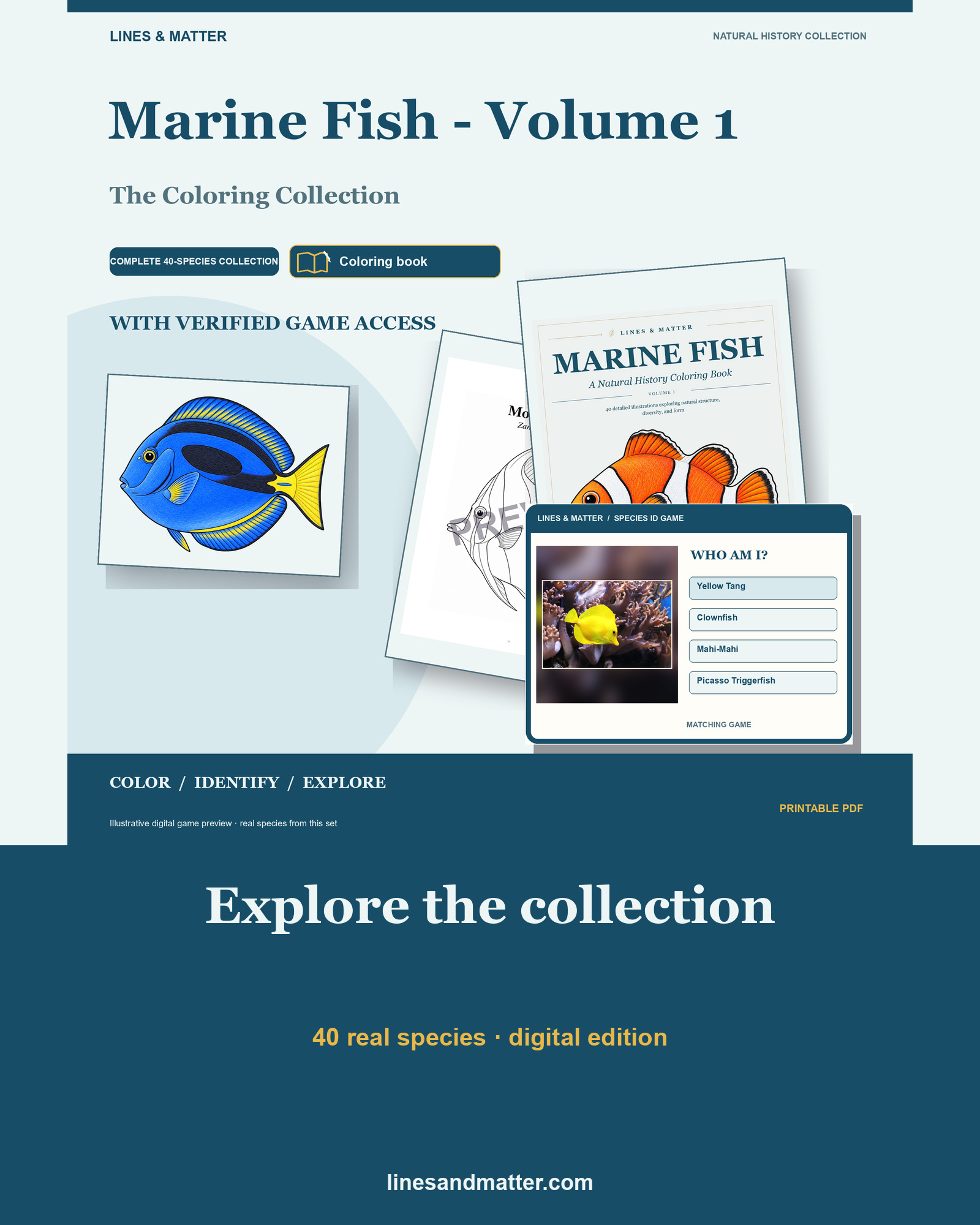 Marine Fish full coloring book cover